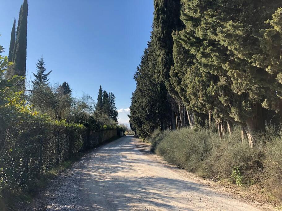 La Vigna Agriturismo Villa Siena Exterior photo