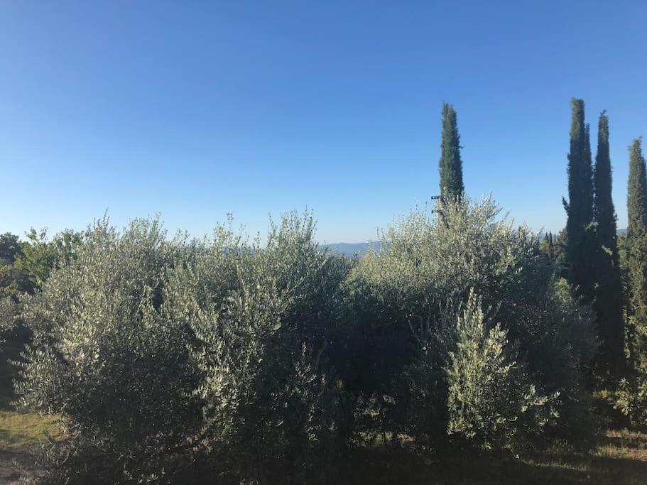 La Vigna Agriturismo Villa Siena Exterior photo